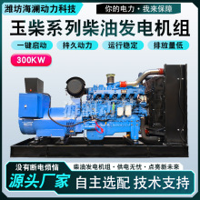 ���ϵ��300KW�o�˙C��늌��ò��Ͱl늙C�M�����yʽ���Ͱl늙C