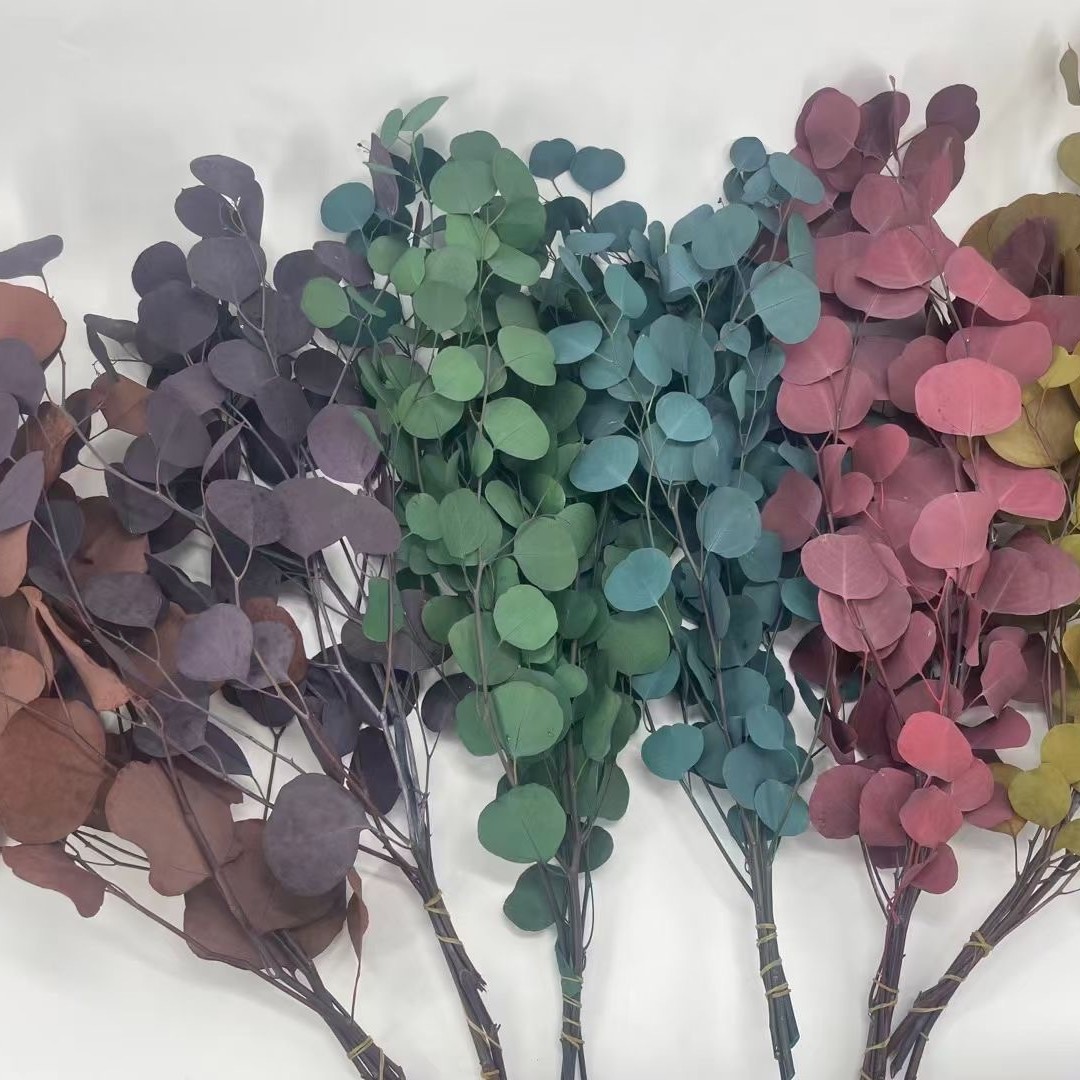 Eterno flor hoja de eucalipto eterno cobre moneda hoja de eucalipto hoja fina eucalipto manzana hoja de eucalipto hoja de mijo eterno mijo fruta