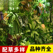 ֲ��ֲ����ֲ��仨��������ˇ��չ�d�b�����