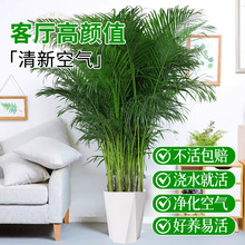 �ļ����฻�FҬ�Ӵ��;Gֲ�����҃ȿ͏d�k���Һ��B�辰����ȩ�S��