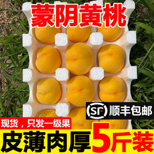 �S�����rˮ���������r���ë�r���S�����Ҵ�����5�������\���Fժ