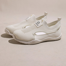 insƽwЬ2025ļŮЬ\ЬW͸⽡ܲeЬ1506