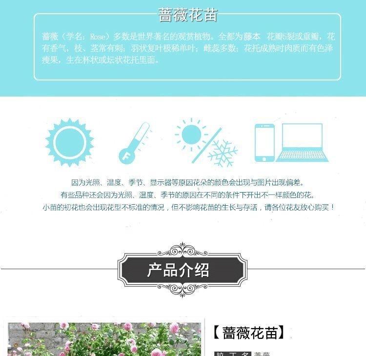 ef1c59b5-1ef7-4837-8e51-f0e541a771a7.jpe
