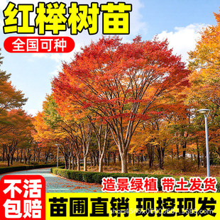 �t�Θ���Ѫ�eС��e��ͥԺ�е������ͺ����~�G���L����С�~�Θ���