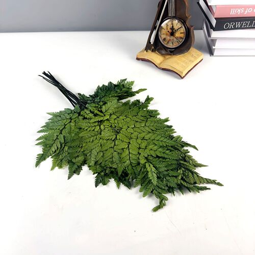 Yunnan Eternal Flower Sheep Fern Leaf Dried Flower High Mountain Sheep Fern Leaf Soft Furnishing Decoration Bouquet Fern Leaf Matching Material