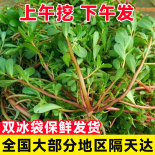 ���rҰ���t�U�R�X�{�FժҰ���R�X��Λ�Ʋ��R���{Ұ����1��3��