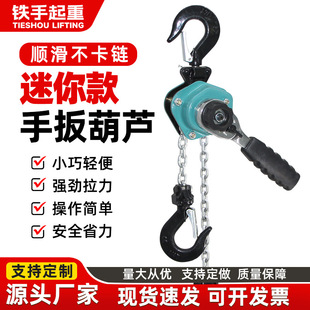 Micro Mini Lever Hoist 0.25 Tons 0.5T3M Small Manual Traction Hoist Portable Electric Wire Tightener