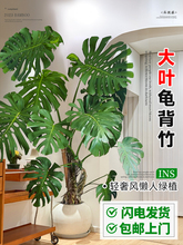 ͏d҃ȿ͏d~Ϙֲҕ߅;Gֲ