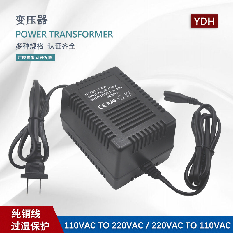 Cross-border 300W travel voltage transformer 220V to 110V voltage transformer 110V to 220V power converter