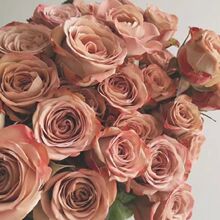 ����r����S���]�r�����x��֦�������Z�㙉õ���ɿ�������õ��