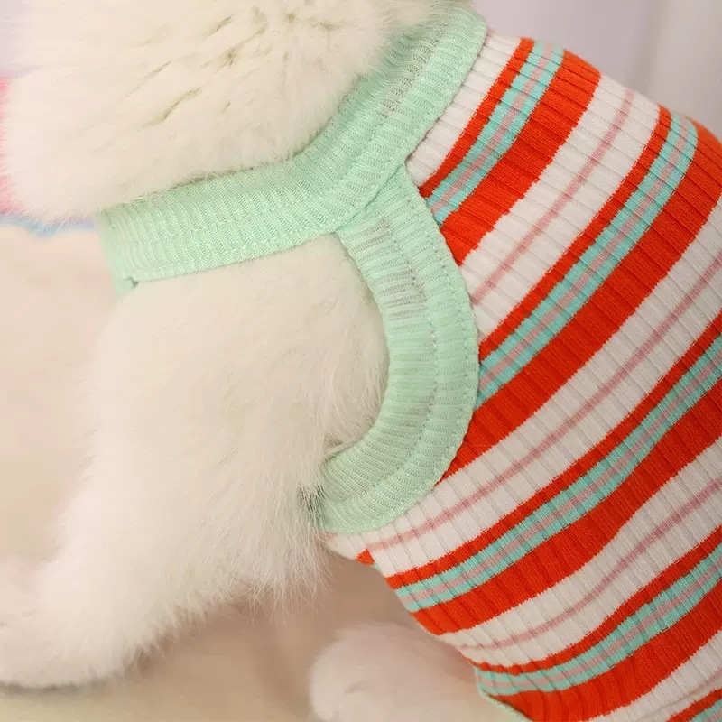 Moda color raya chaleco gato primavera y otoño verano delgada ropa para mascotas primavera en bebé gato anti-pelusa cómodo transpirable