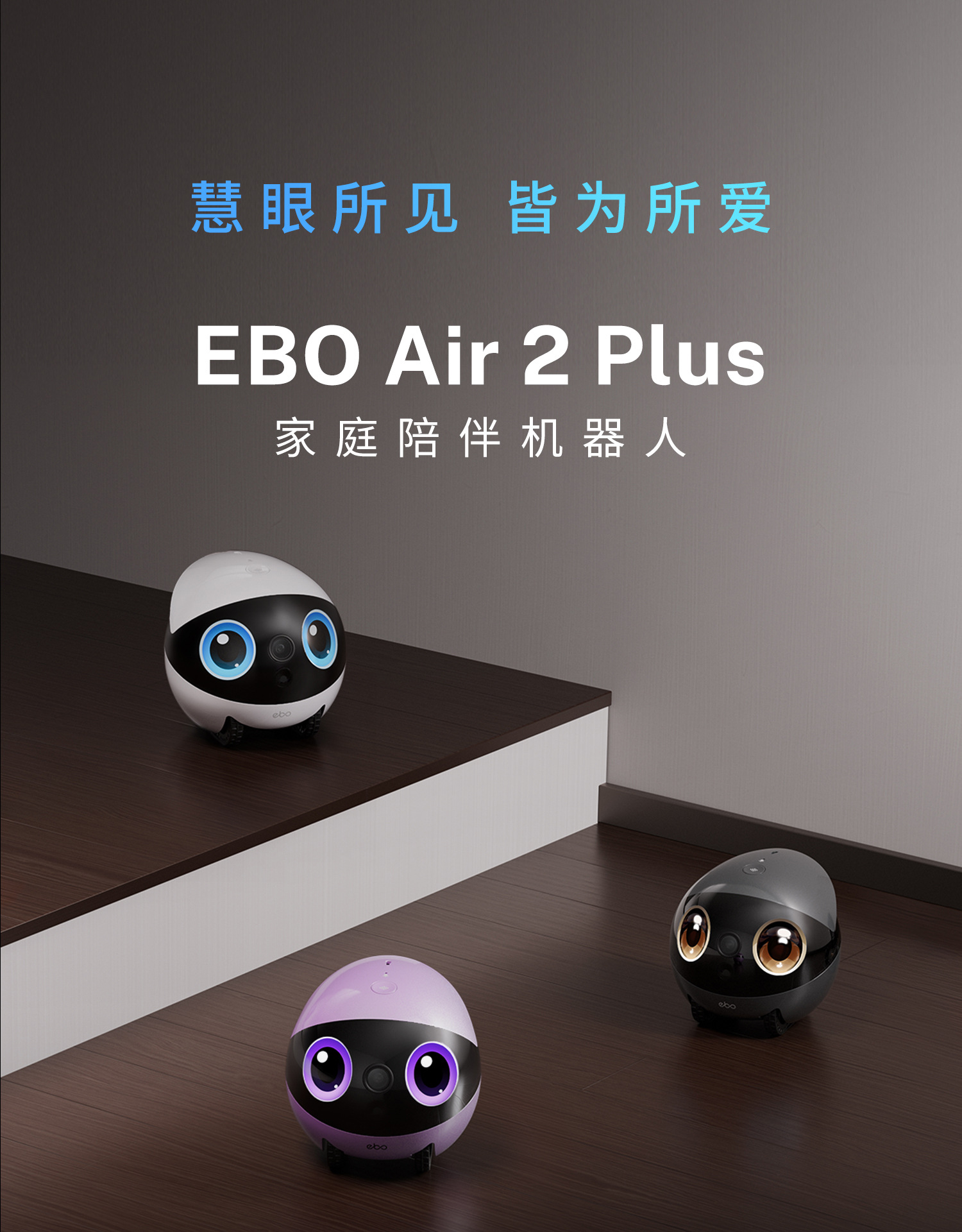 EBO Air2 Plus Portable camera Home mobile phone video dialogue smart pet monitoring robot full figure