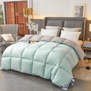 B&B Feather Silk Cotton Quilt Core Hotel All Year Round Spring Autumn Winter Air Conditioning Winter Thickeneding
