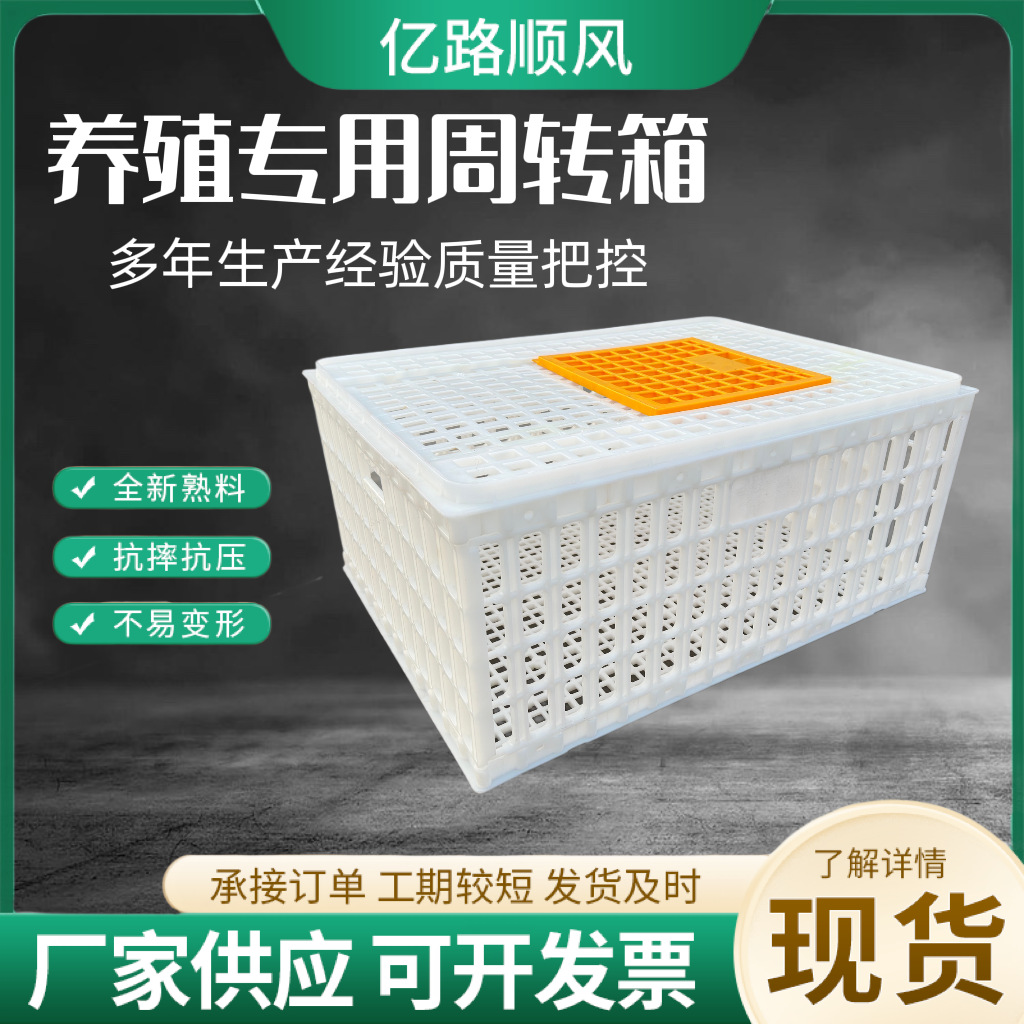 Los fabricantes suministran jaulas de plástico para pollos gruesos, pollos, patos, gansos, palomas y conejos.