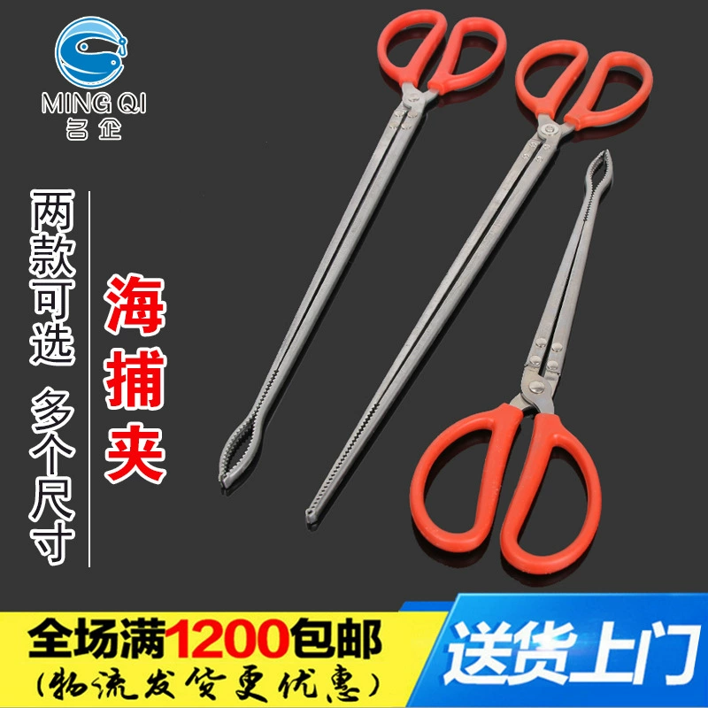 Известные предприятия Monopterus Lel клип Краб клип Литой морской угорь зажим Рыба контроль Голец Краб Омар Клип Угорь клип