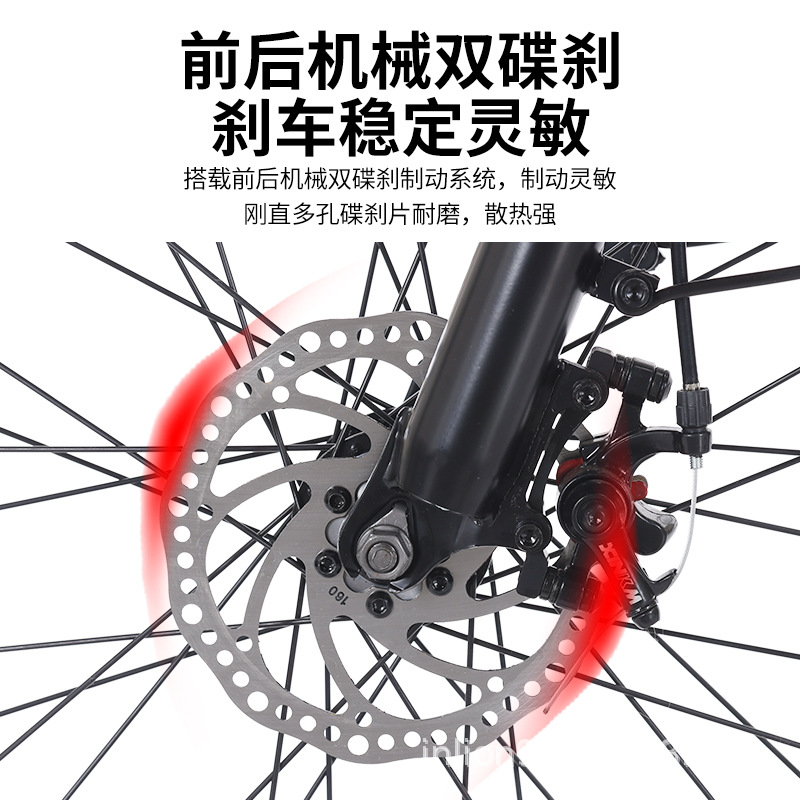 Flying Dove Electric Bike Commute nuevo estándar nacional de litio eléctrico 24 pulgadas de velocidad variable ocio scooter asistido coche de batería ligera