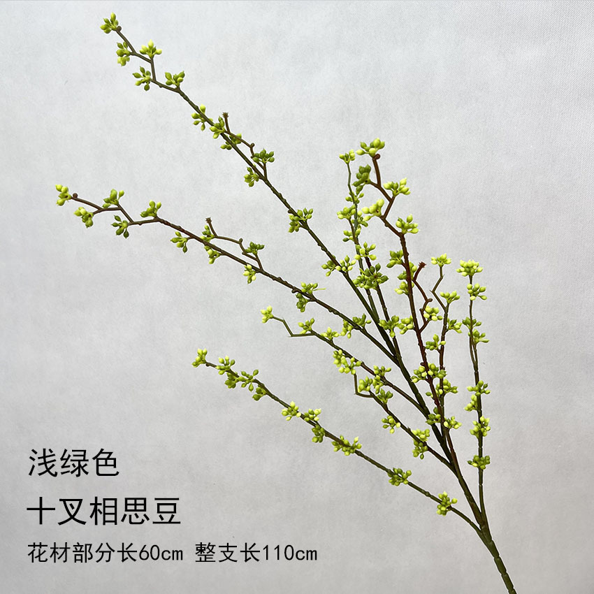 Diez tenedores de frijoles de acacia - verde claro