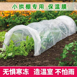 其他塑料薄膜;农用薄膜;建筑膜