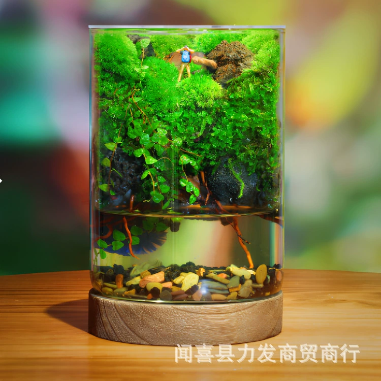 Прозрачная стеклянная прямая ваза в повседневном стиле с деревянным основанием, цветочная композиция для гостиной, горшок для гидропонных суккулентов, украшения