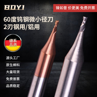 Micro End Mill with Extended Blade, Tungsten Steel Ball Cutter, Coated Long Neck 2-Flute Aluminum Flat Cutter 0.1-0.2 3 4 5 6 789