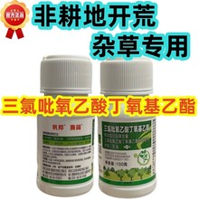 Ч݄sһ߹ҊG@@ָߝȿٳ݄r