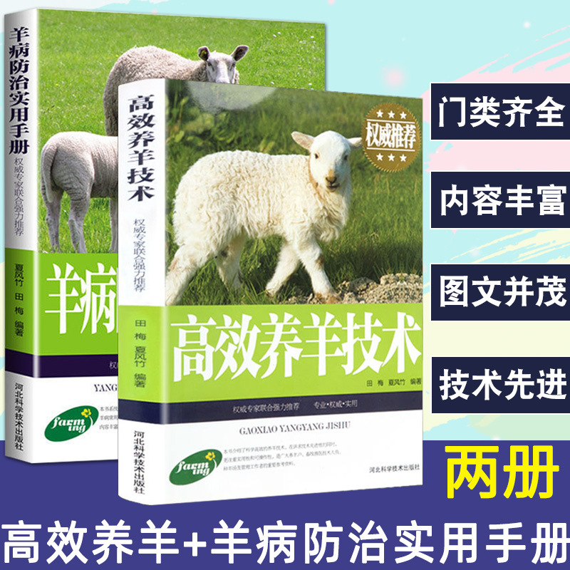 2册养羊技术书籍 大全养羊+羊病防治实用手册综合全书快速诊治畜