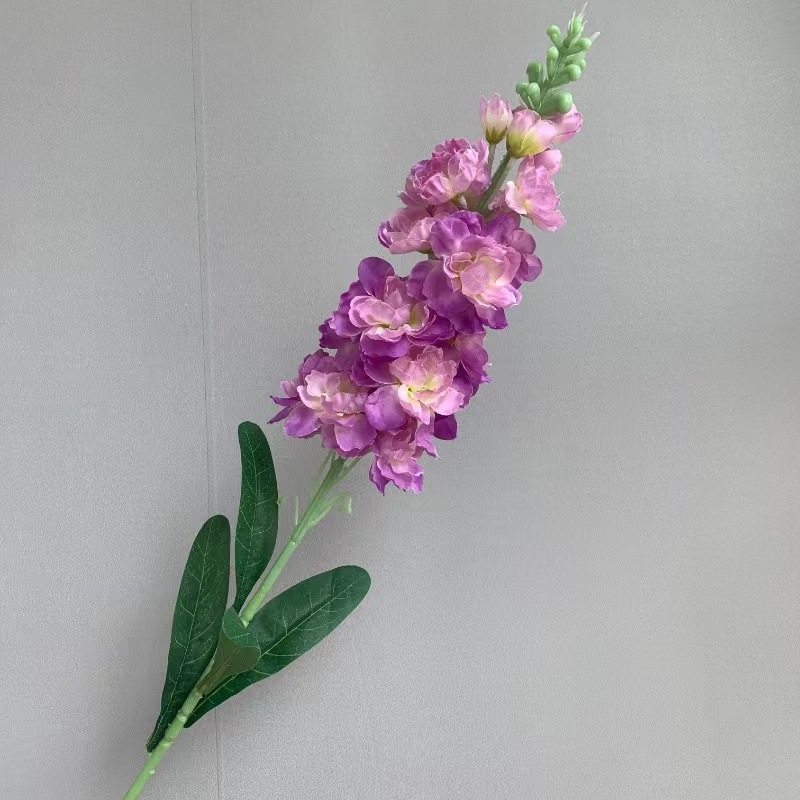 보라색