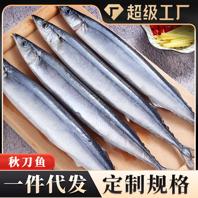 秋刀鱼新鲜鲜活冷冻大号海捕深海鱼日式秋刀鱼商用批发一件代发
