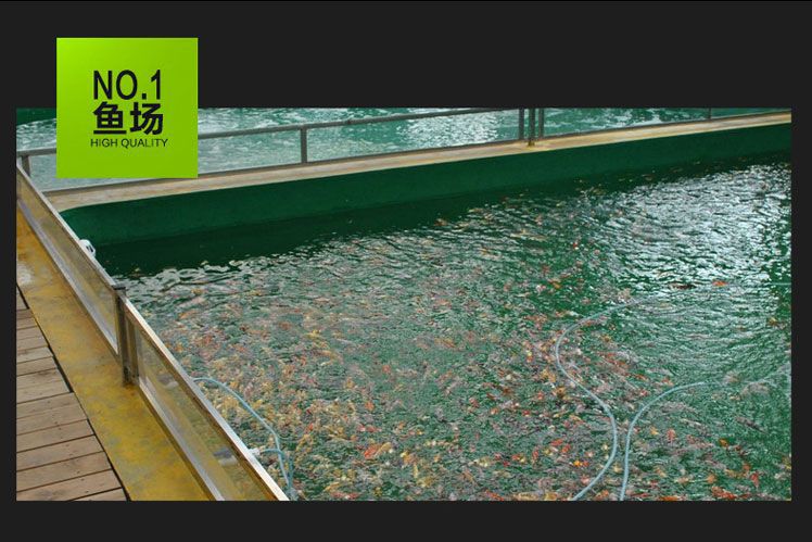 hGyTgvKjy9T/JMf1cqcTitcmcJ01jqUxjHsz