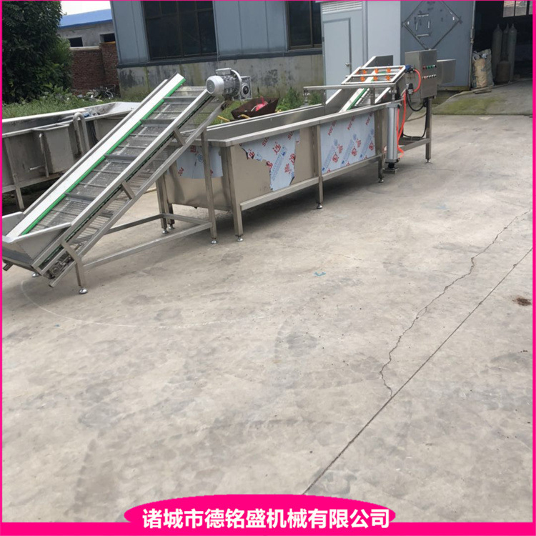 带鱼段挂冰机 清洗鱼类机器 成套生产带鱼罐头设备