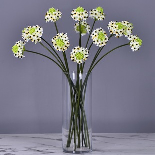 Դ�^�S؛���沮���a֮��ȸ÷�b��滨�Ƶ�ǰ̨����������Z�q