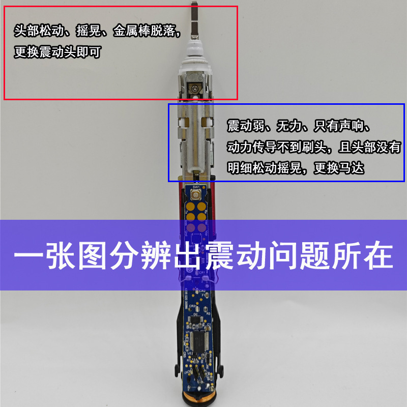 フィリップス電動歯ブラシ振動ヘッド修理アクセサリー振動コンポーネントに適しています。|undefined