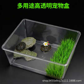爬宠饲养盒守宫蜥蜴宠物蛇蜘蛛角蛙甲虫蜗牛乌龟爬虫高透明宠物盒