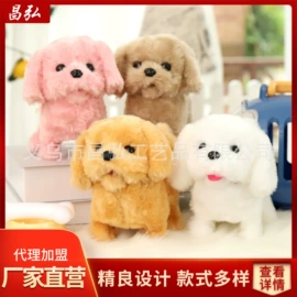 圣诞装饰品;电子宠物;电动公仔