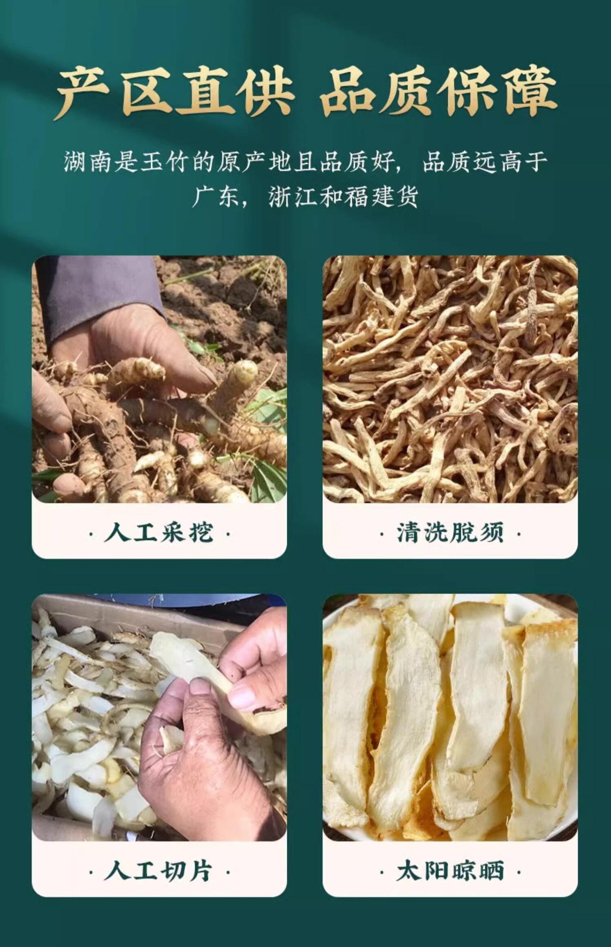 Yu Zhu Dried Polygonatum Slices 500g Hunan Fragrant Solomon Seal for Tea and Soup specifications