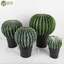 ���������������쾰���^�b�����ؔ[�������ƟᎧֲ������