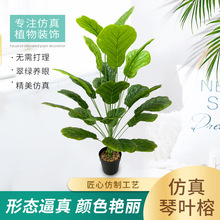 �羳�����������~���҃ȿ͏d�������ֲ�ﱱ�W�Gֲ�b߷���