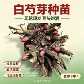 其他农业;库存农产品;其他药食同源
