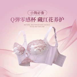 无钢圈文胸;调整型文胸;塑身裤