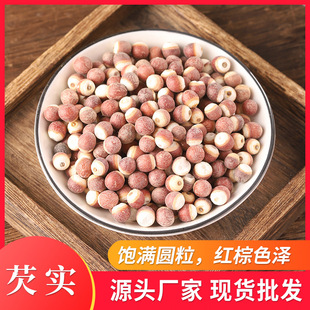 ���r�͌��۴�؛ �tƤ�����͌����������u�^�׽�Ƣ�B���r���Ԯa