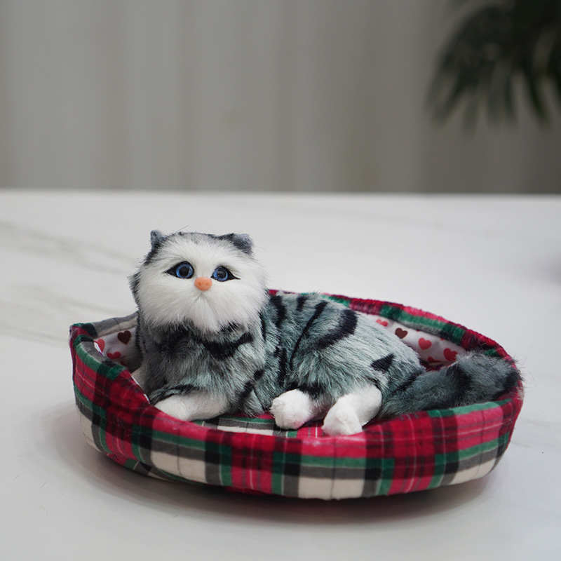 둥지 Green Road가있는 고양이는 전화 할 수 있습니다.