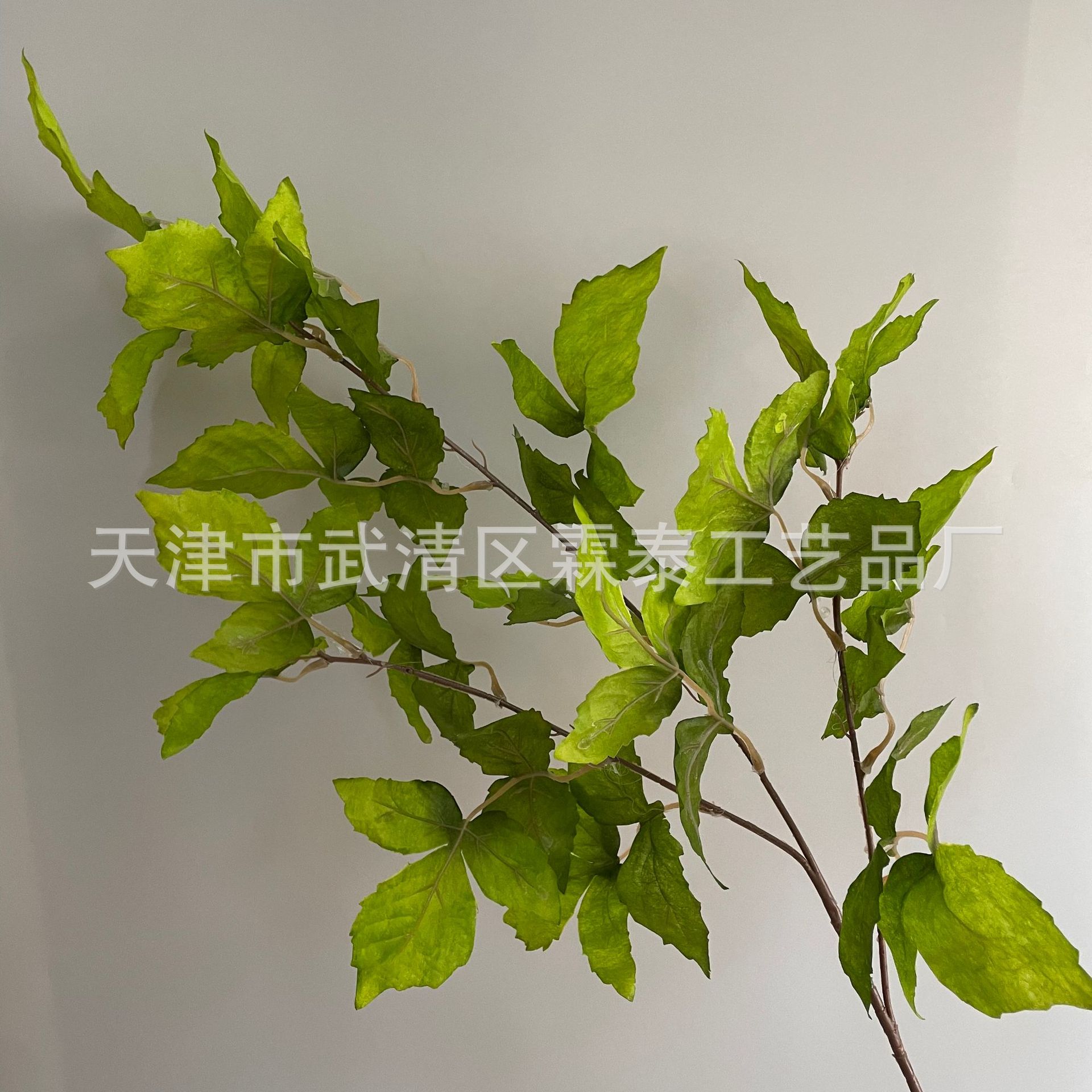 녹색