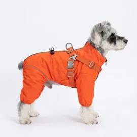 狗狗服装;宠物周边用品