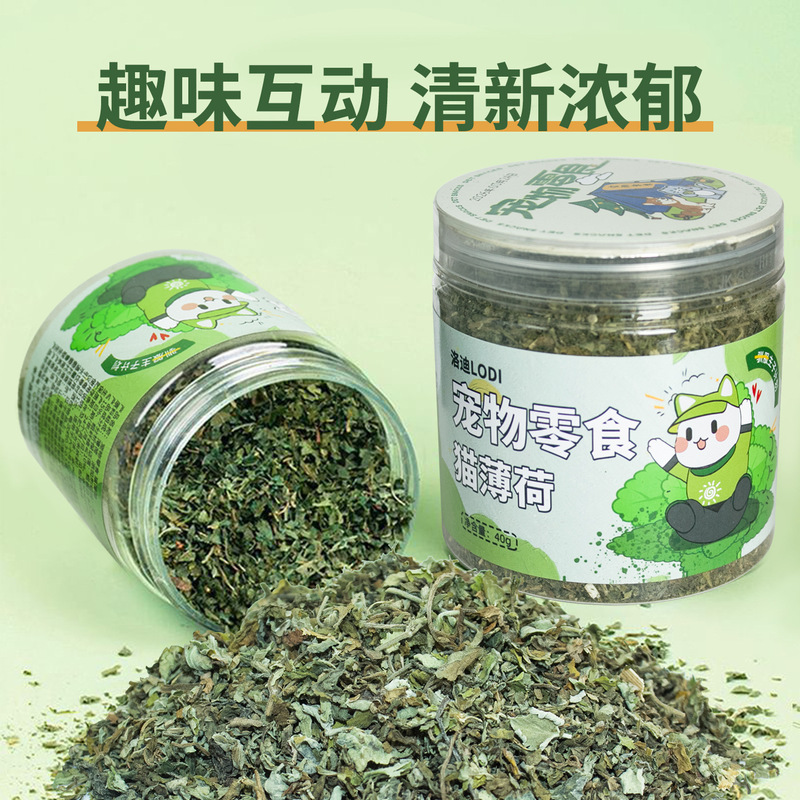 Catnip Cat Grass Leaves Cat Snacks for Interactive Play with Kittens, High-Quality Pet Supplies and Food, Available for Dropshipping