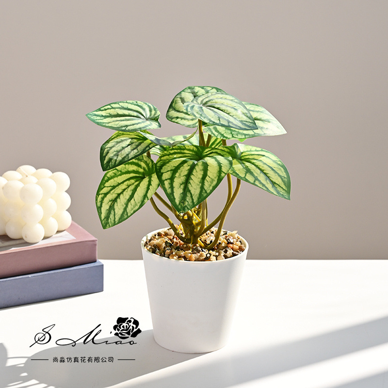 2494510-1 Planta en maceta de simulación de hoja de sandía verde rayada