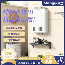 跨境外贸燃气热水器天然气12升16升家用恒温强排液化气煤气