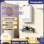 跨境外贸燃气热水器天然气12升16升家用恒温强排液化气煤气