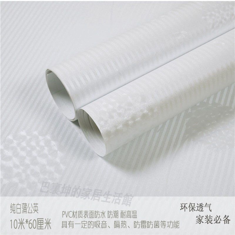 순수한 흰색 민들레