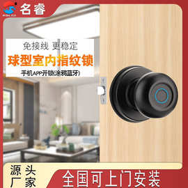 名睿球形指纹锁外贸跨境室内木门三杆锁免开孔换指纹锁涂鸦智能锁