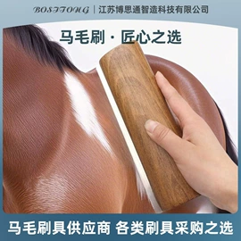 狗狗清洁;口腔清洁;宠物梳子
